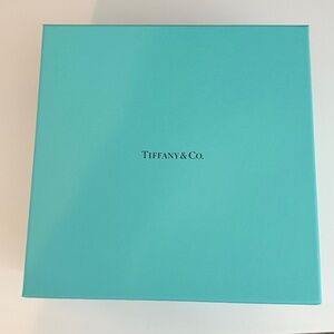 Tiffany & Co. Turquoise Gift Box